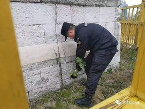 最新爆料林先生的事件,最新爆料揭示惊人真相 第3张 最新爆料林先生的事件,最新爆料揭示惊人真相 第3张